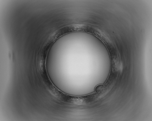 X0000112830698200908281532