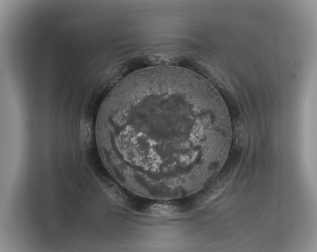 X0000112830699200908281532