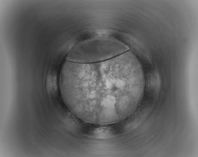 X0000112830700200908281532