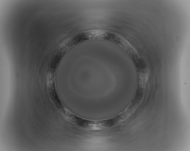 X0000112830701200908281532