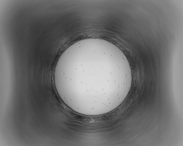 X0000112830702200908281532