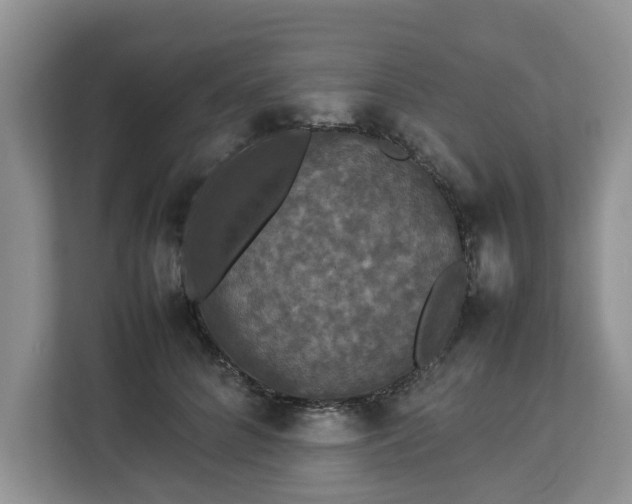 X0000112830704200908281532