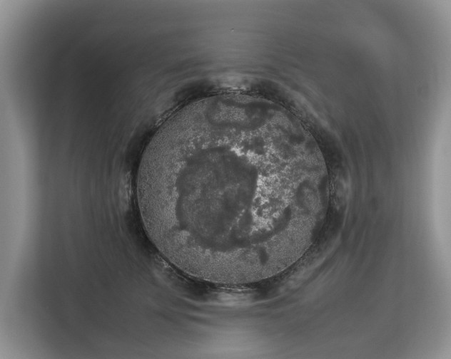 X0000112830707200908281532