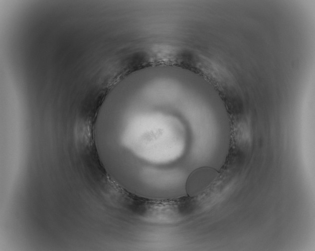 X0000112830709200908281532