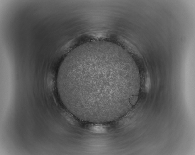 X0000112830710200908281532