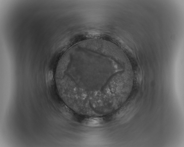 X0000112830711200908281532