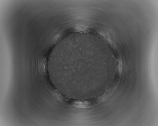 X0000112830712200908281532