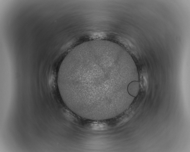 X0000112830714200908281532