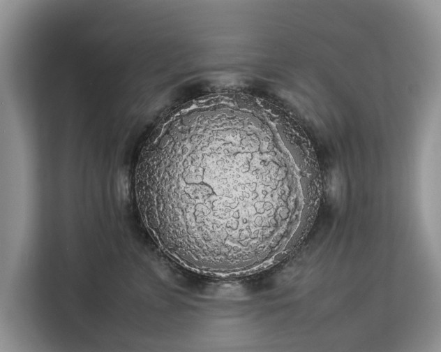 X0000112830715200908281532