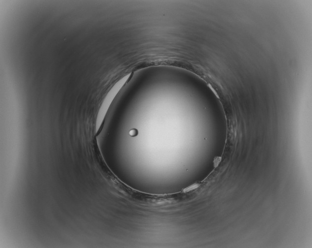 X0000112830716200908281531