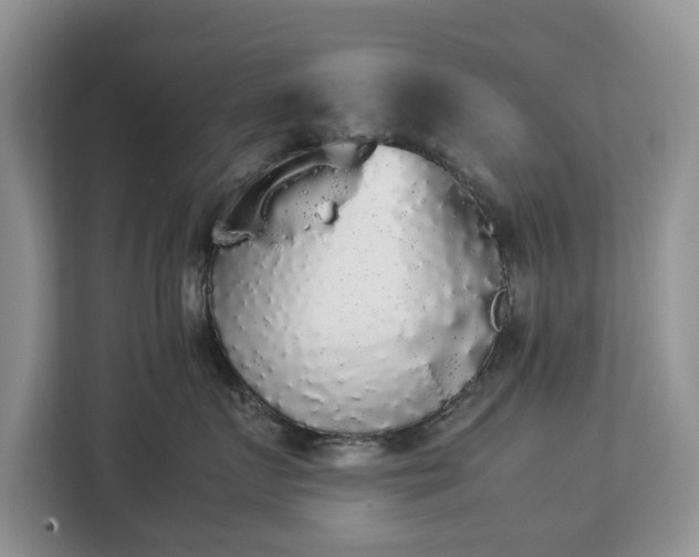 X0000112830719200908281531