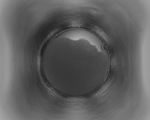 X0000112830722200908281531