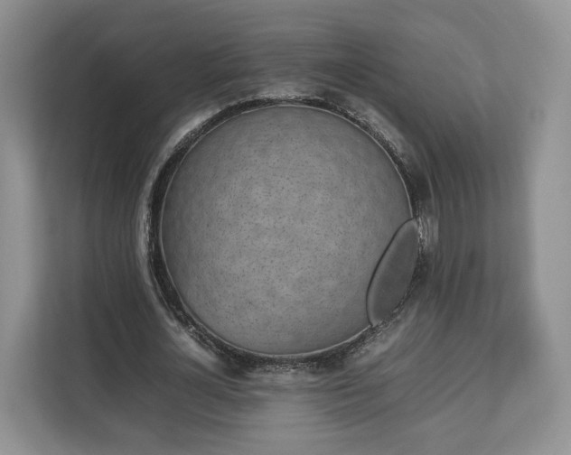 X0000112830724200908281531