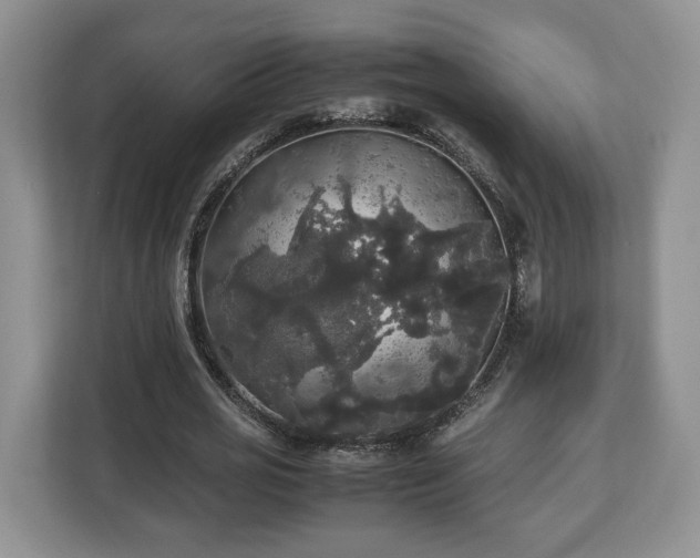 X0000112830725200908281531