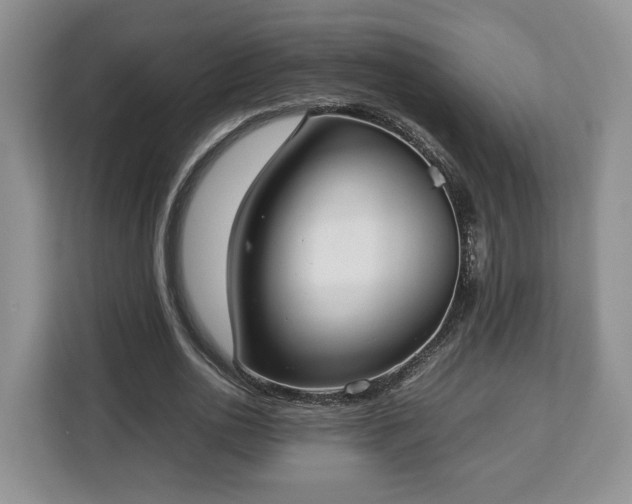 X0000112830726200908281531