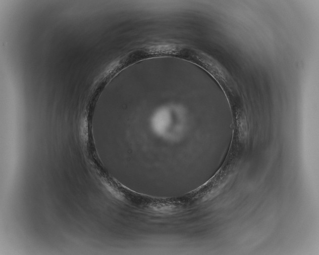 X0000112830729200908281531