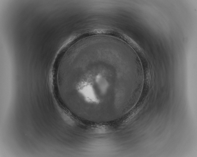 X0000112830730200908281531