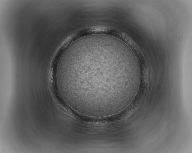 X0000112830731200908281531