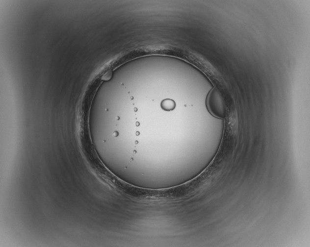 X0000112830732200908281531