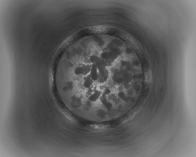 X0000112830733200908281531