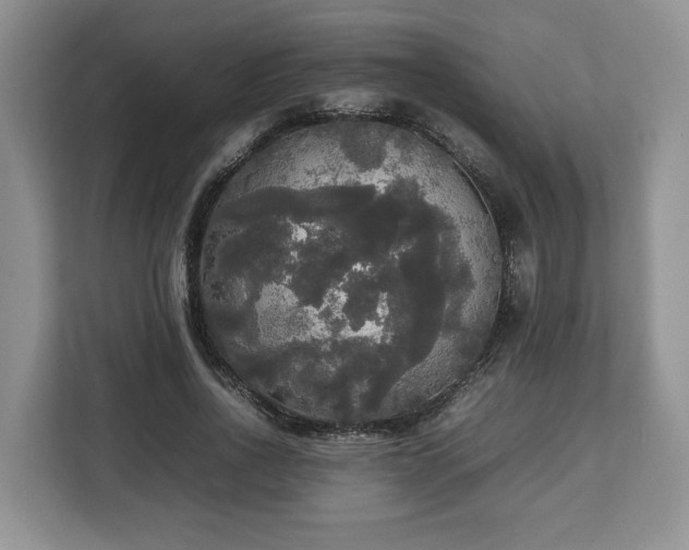 X0000112830734200908281531