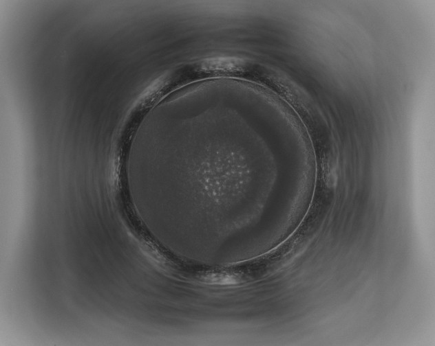 X0000112830735200908281531