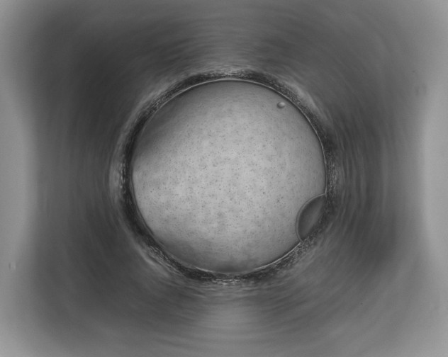 X0000112830736200908281531