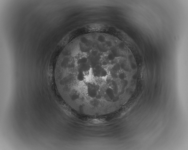 X0000112830737200908281531