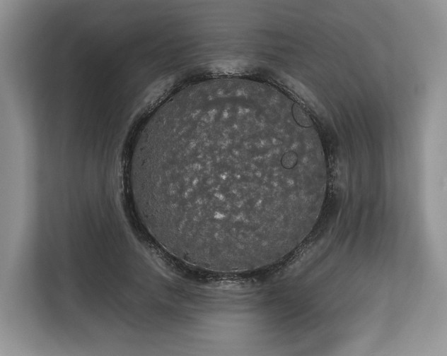 X0000112830738200908281531