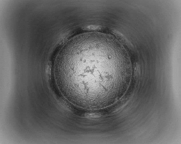 X0000112830739200908281531