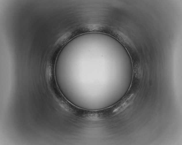 X0000112830740200908281531