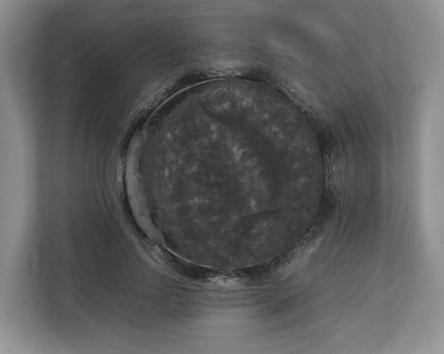 X0000112830742200908281531