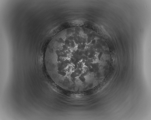 X0000112830745200908281531