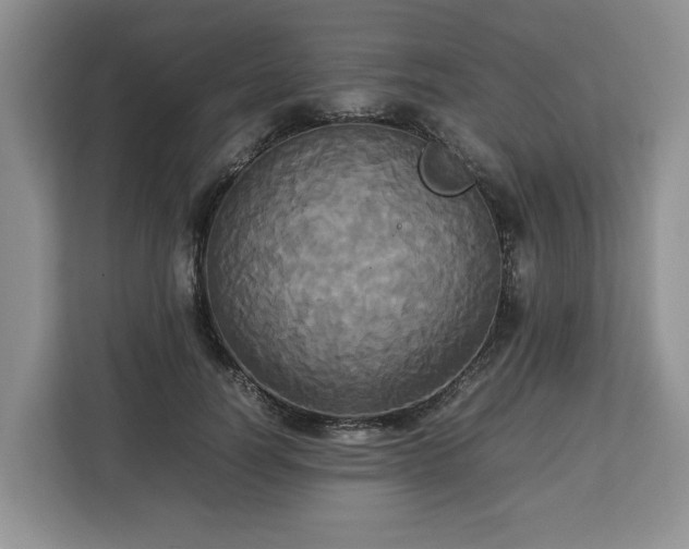 X0000112830746200908281531