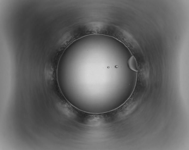 X0000112830750200908281531