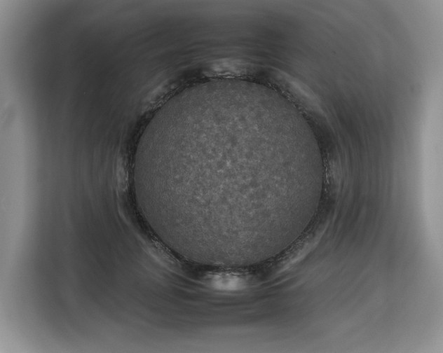 X0000112830751200908281531