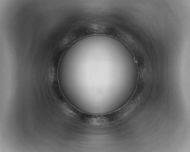 X0000112830752200908281531