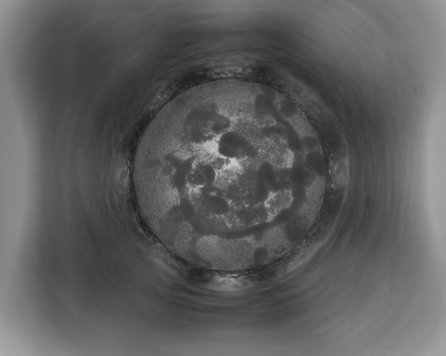 X0000112830753200908281531