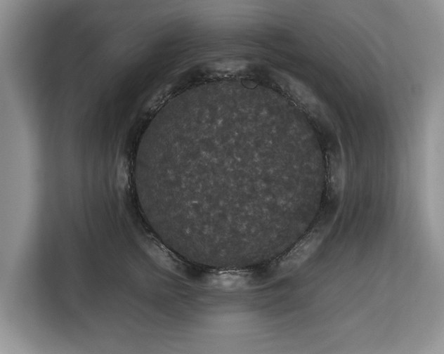 X0000112830758200908281531