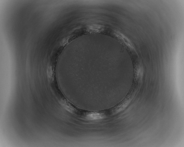 X0000112830759200908281531