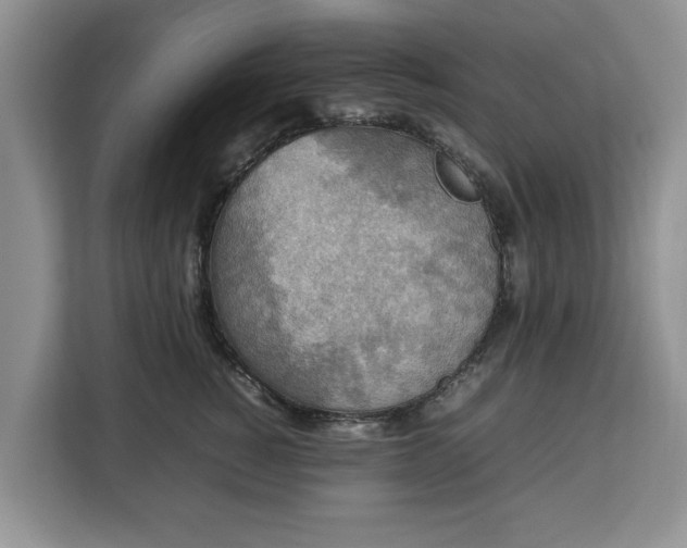 X0000112830760200908281531