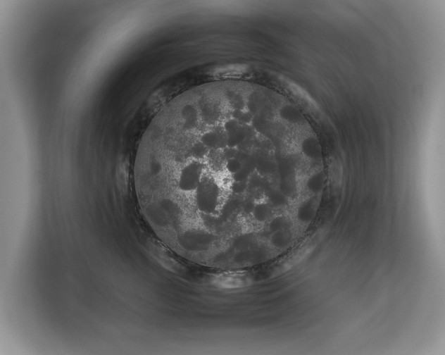 X0000112830761200908281531