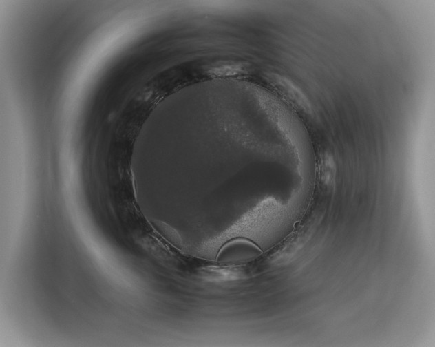 X0000112830763200908281531