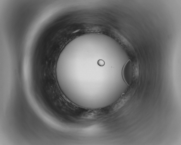 X0000112830764200908281531