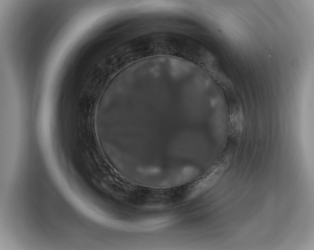 X0000112830765200908281531