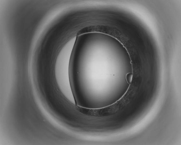 X0000112830766200908281531