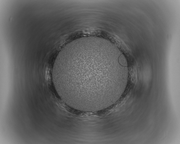 X0000112830770200908281531