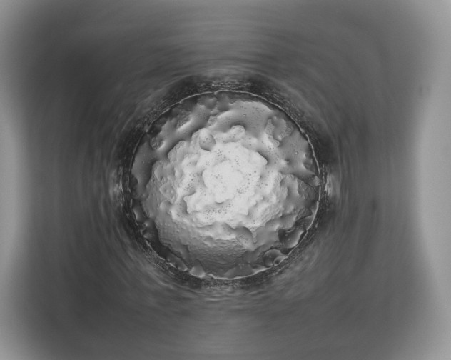 X0000112830771200908281531