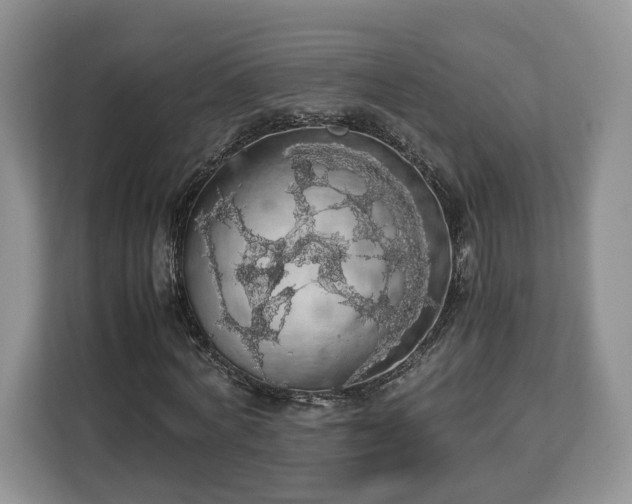 X0000112830772200908281531