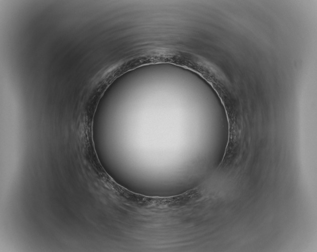 X0000112830773200908281531